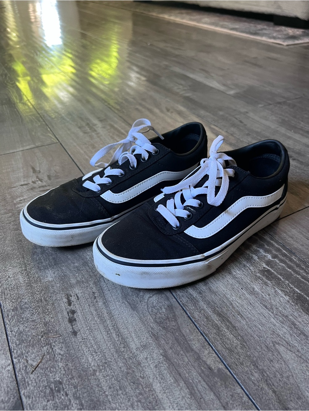 Vans Black & White Low-Top Skate Sneakers